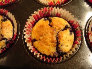 muffin integrali